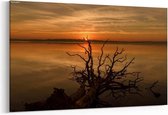 Schilderij - Sunrise — 90x60 cm