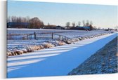 Schilderij - Boomschaduwen op velden in de winter, Groningen — 100x70 cm