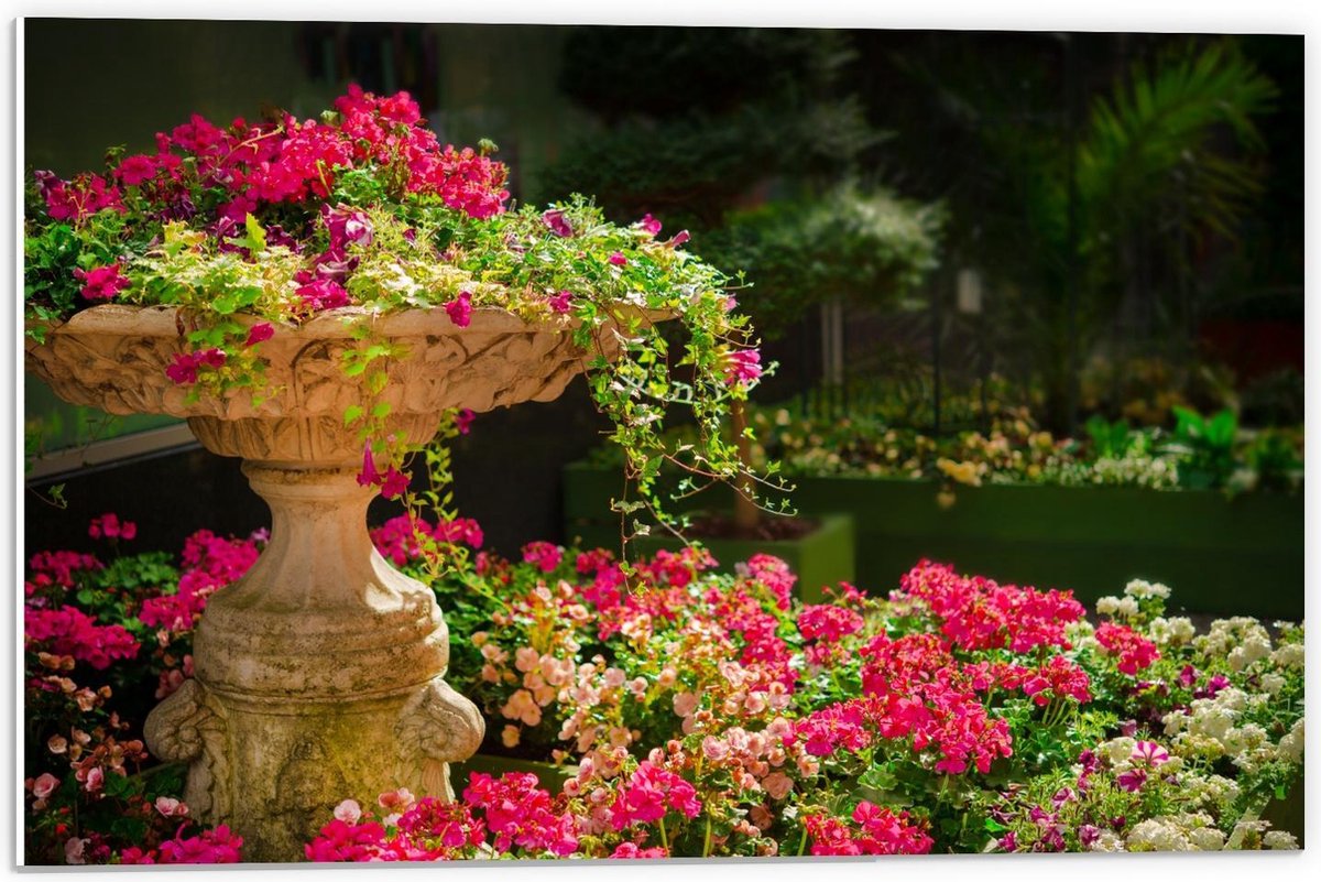 Forex - Roze Bloemenstruik met Fontein - 60x40cm Foto op Forex