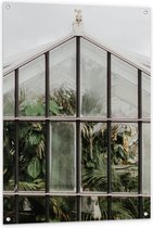 Tuinposter – Kas met Planten - 80x120cm Foto op Tuinposter  (wanddecoratie voor buiten en binnen)