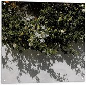 Tuinposter – Groene Plant voor Witte Muur - 80x80cm Foto op Tuinposter  (wanddecoratie voor buiten en binnen)