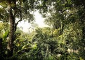 Komar Dschungel Fotobehang 350x250cm 7-banen