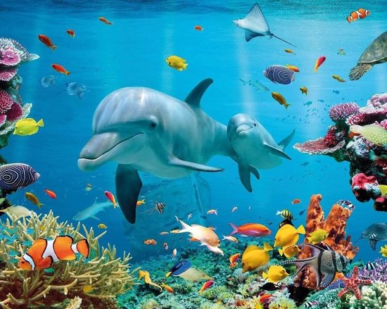 GBeye Poster - Tropical Ocean - 40 X 50 Cm - Multicolor
