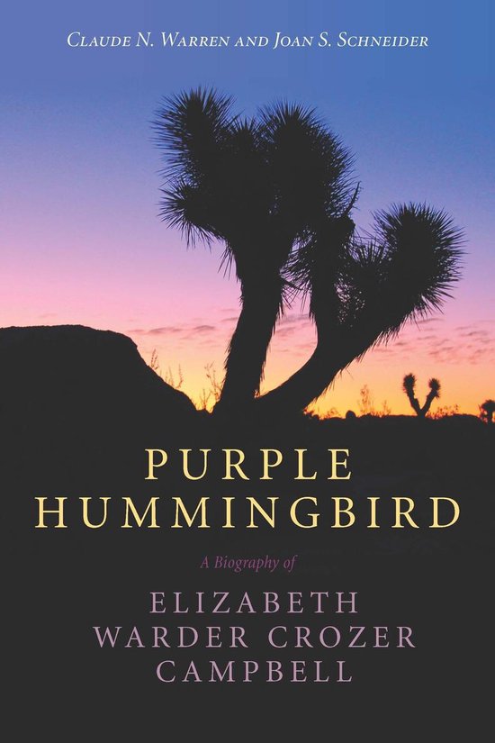 Purple Hummingbird - cover