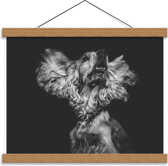 Schoolplaat – Hond met Wapperende Oren (zwart/wit) - 40x30cm Foto op Textielposter (Wanddecoratie op Schoolplaat)