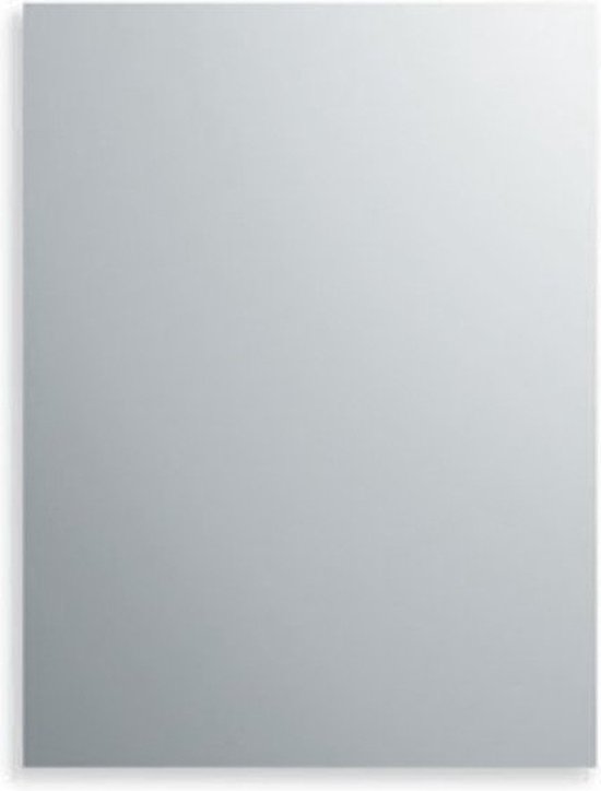 Plieger spiegel rechthoekig 40x57 cm | bol.com