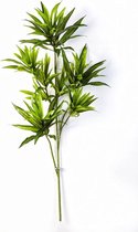 Livistona Rotundifolia in Elho Greenville grijs | Waaierpalm