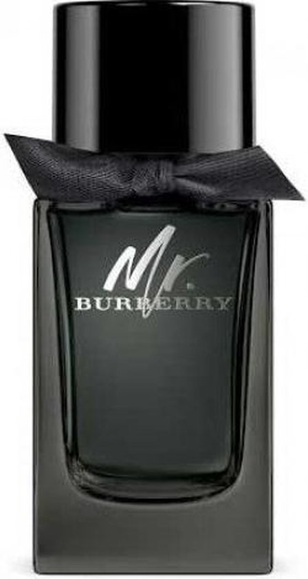 Burberry Mr Burberry - 100 ml - eau de toilette spray - herenparfum - Burberry