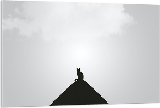 Acrylglas - Silhouette Kat op Piramide - 120x80cm Foto op Acrylglas (Met Ophangsysteem)