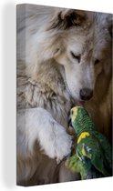 Toile chien et perroquet 2cm 40x60 cm - Tirage photo sur toile (Décoration murale salon / chambre) / Peintures sur toile animaux sauvages