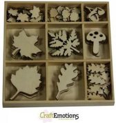 CraftEmotions Houten ornament - bladeren groot en klein 75 assorti  - box 10.5x10.5cm