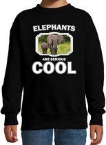 Dieren olifant met kalf sweater zwart kinderen - elephants are serious cool trui - cadeau olifant/ olifanten liefhebber 3-4 jaar (98/104)