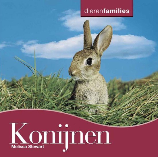 Dierenfamilies konijnen