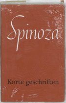 Werken van B. de Spinoza  -   Korte geschriften