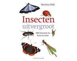 Insecten uitvergroot