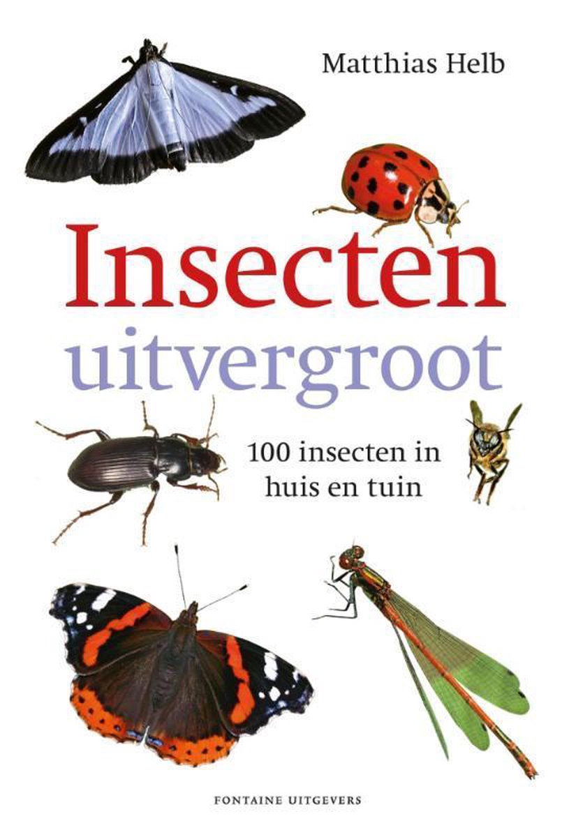 Insecten uitvergroot - Matthias Helb