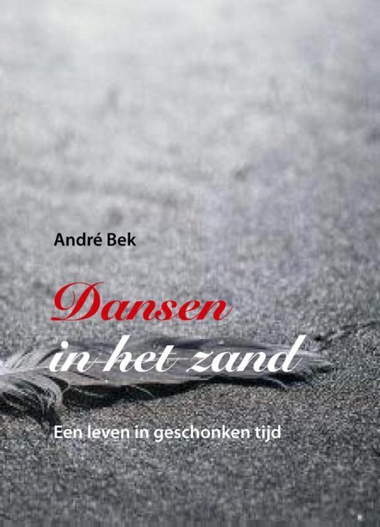 Cover van het boek 'Dansen in het zand' van A. Bek