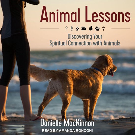 Animal Lessons - cover