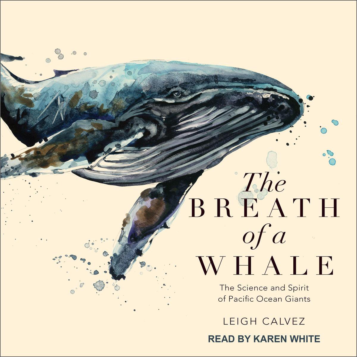 Omslag van The Breath of a Whale
