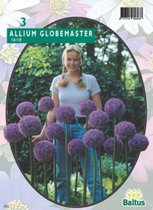 3 stuks Allium Globemaster per 3 bloembollen Baltus