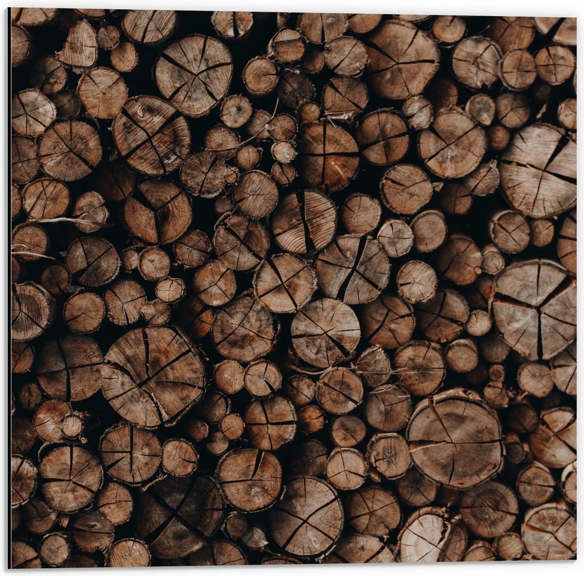 Dibond - Houten Palen Opgestapeld - 50x50cm Foto op Aluminium (Wanddecoratie van metaal)