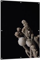 Tuinposter – Takkenboeket voor Zwarte Achtergrond - 100x150cm Foto op Tuinposter  (wanddecoratie voor buiten en binnen)