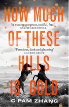 How Much of These Hills is Gold Longlisted for the Booker Prize 2020