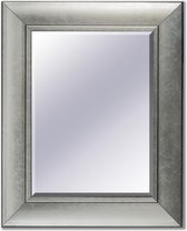 Spiegel Prague Zilver - 54x134 cm