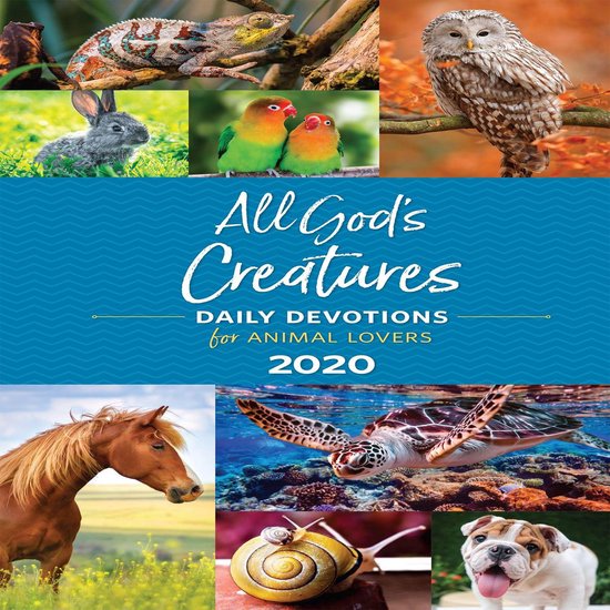 All God's Creatures - cover