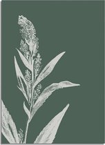 DesignClaud Vintage bloem blad pampa's gras poster - Groen - Puur Natuur Botanische poster A3 + Fotolijst wit