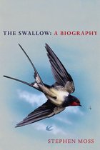 The Bird Biography Series 3 - The Swallow