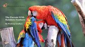 Animal Picture Books With Social & Emotional Learning 1 - The Parrots With Rainbow Feathers