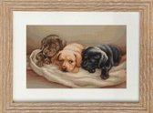 Luca-s borduurpakket Puppy Dog Trio b434 borduren