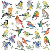 40x Vogels / dieren thema servetten 33 x 33 cm - Papieren servetten 3-laags