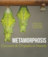 Metamorphosis: Cocoons & Chrysalis in Insects Biology for Kids Edition