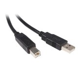 USB A to USB B Cable Startech USB2HAB5M Black