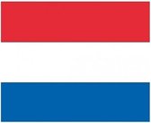 10x Vlag Nederland stickers