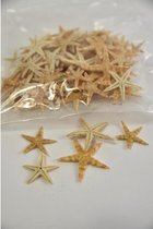 Schelpen - Sugar Starfish 2-3cm Naturel 100pcs