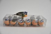 Bijstekers - Cb. 12 Birds Orange/blue 9cm