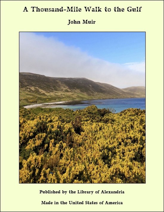 A Thousand-Mile Walk to the Gulf - cover
