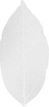 Skeleton Leaves - Skeletbladeren - Dunne Geperste Bladeren - Decoratie - Wit - Lengte: 6-8 cm - 20 stuks