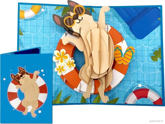 Popcards pop-up kaarten – Grappig Zonnebadende Hond Vakantie Zonnen  Zwemmen... | bol