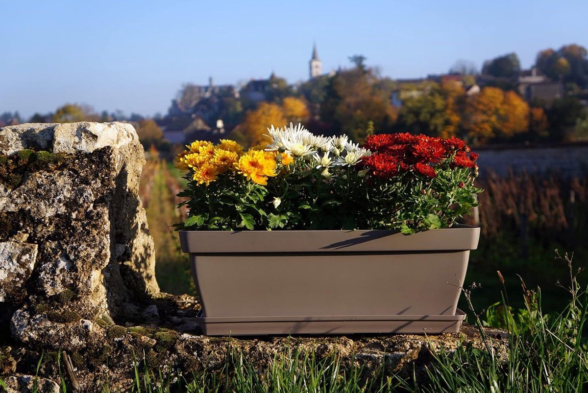 Plantenschotel Taupe - Poëtische Jardin Romeo