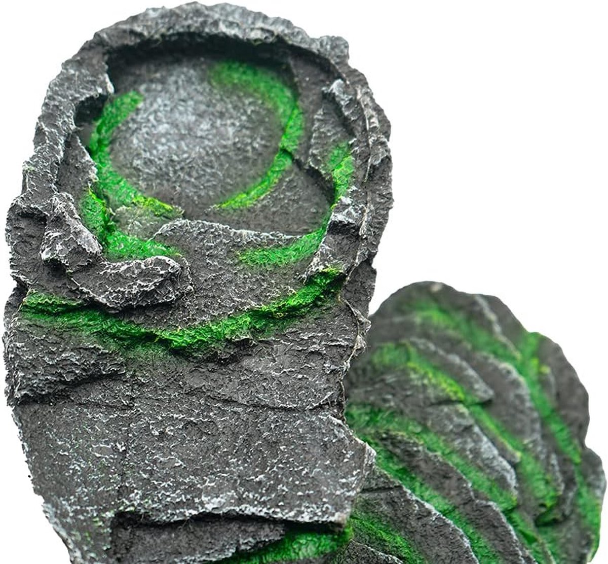 Reptiel schuilplaats holle schildpad zonneplatform vis
