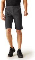 Regatta Shorts Highton ShortLong