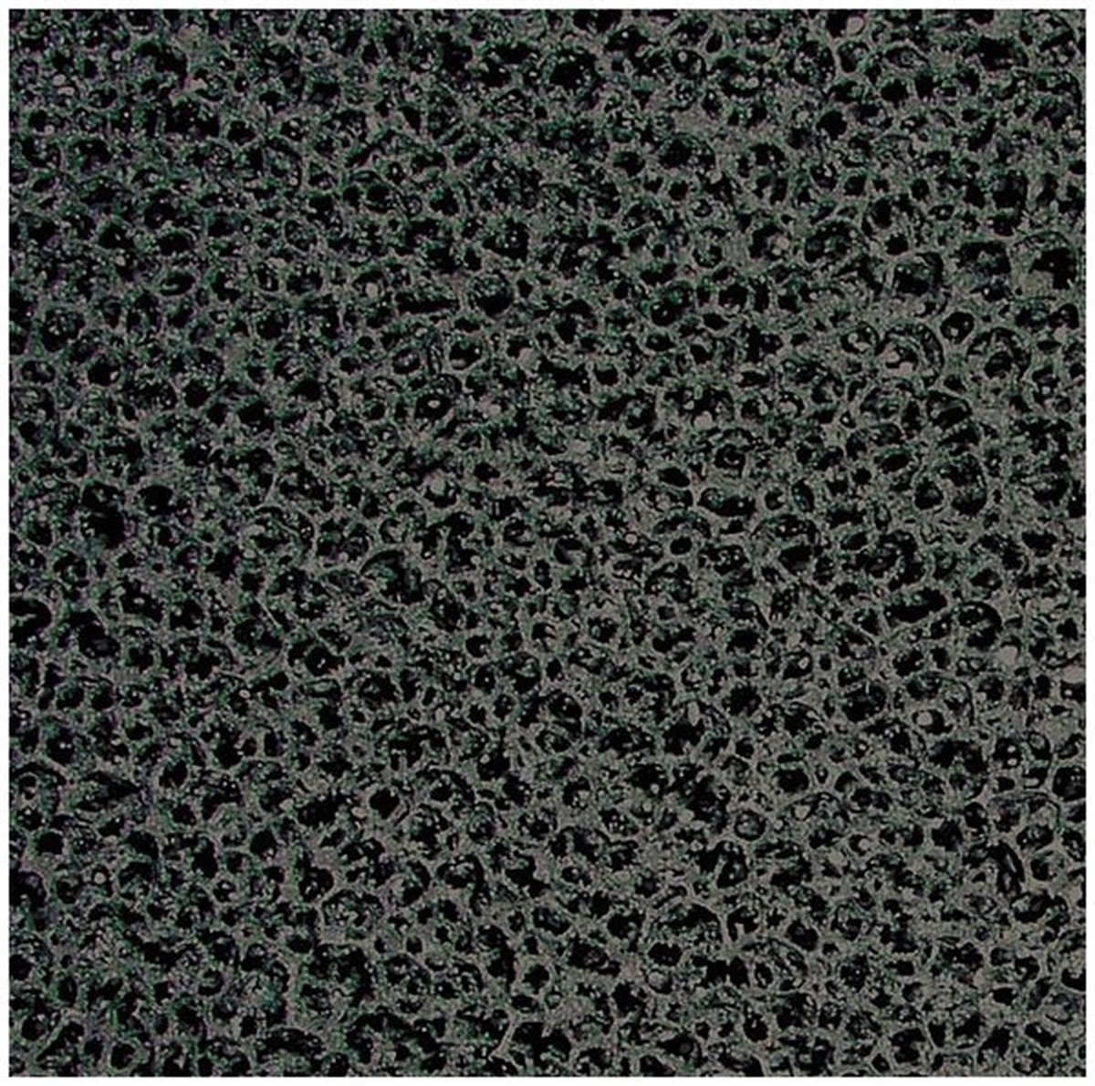Eheim Filtervlies Met Actieve Kool Refine voor Loop 10000/15000