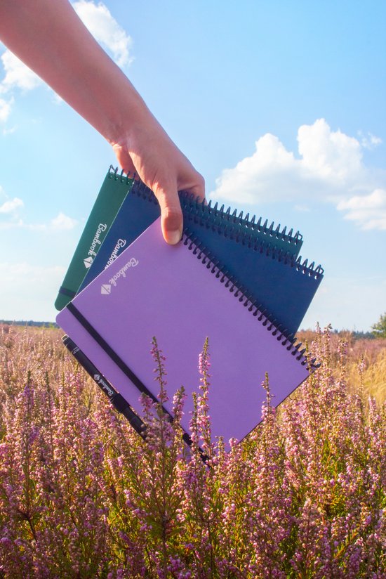 Cahier effaçable coloré Bambook - Blauw - Couverture souple - A5 - Ligné - Cahier tableau blanc durable et réutilisable - Avec 1 marqueur gratuit