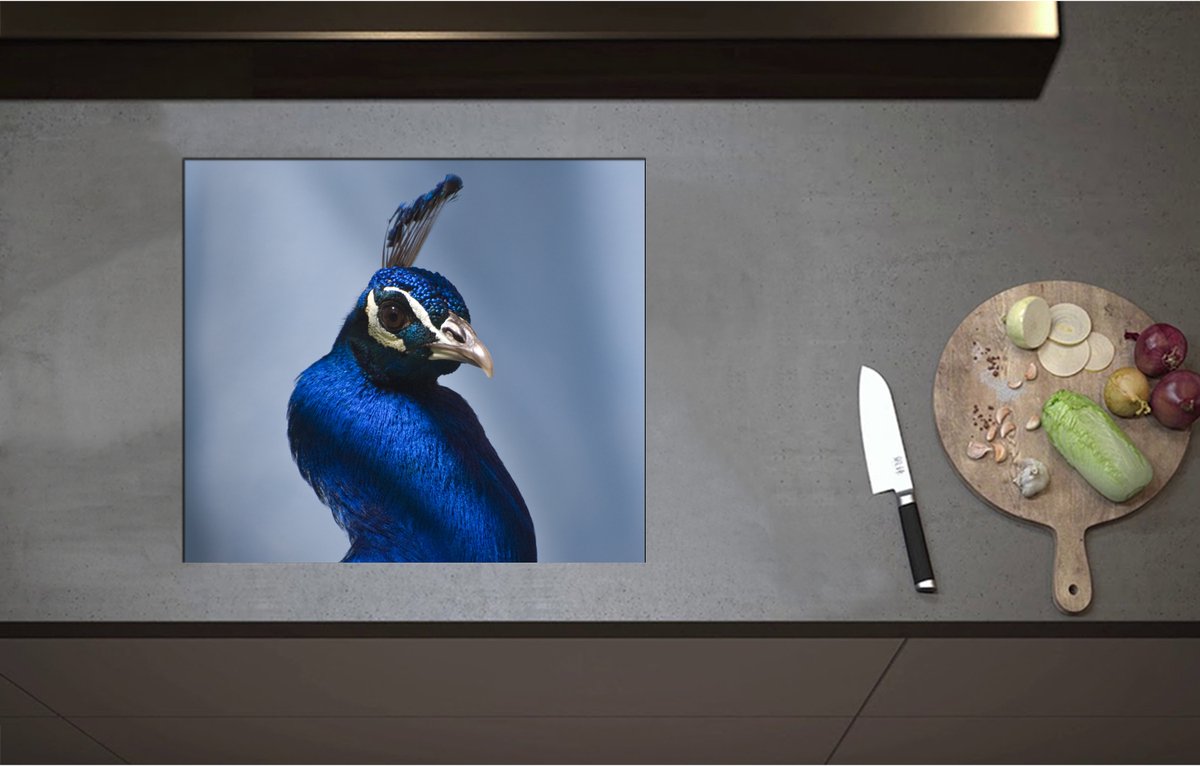 Inductieplaat Beschermer - Chique Poserende Kop van Blauwe Papegaai - 58x51 cm - 2 mm Dik - Inductie Beschermer - Bescherming Inductiekookplaat - Kookplaat Beschermer van Zwart Vinyl