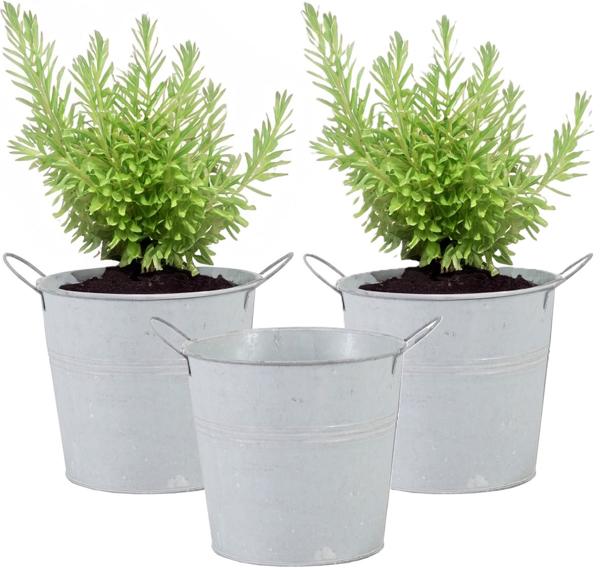 Goedkoopste Mega Collections Emmer/plantenpot/bloempot - 3x - zink - whitewash - D16 x H14 cm