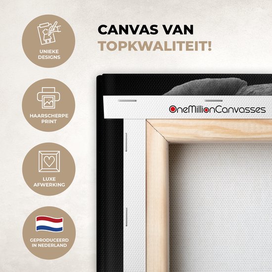 Canvas - Dieren - Olifant - Zwart - Wit - Muurdecoratie - 20x20 cm - Foto op canvas - Canvas schilderijen woonkamer